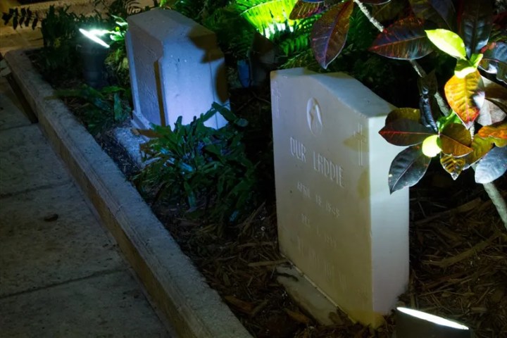 Illuminated gravestone at night in a small garden with plants and foliage.